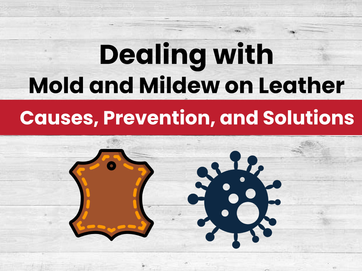 Dealing with Mold and Mildew on Leather A Comprehensive Guide Lesa