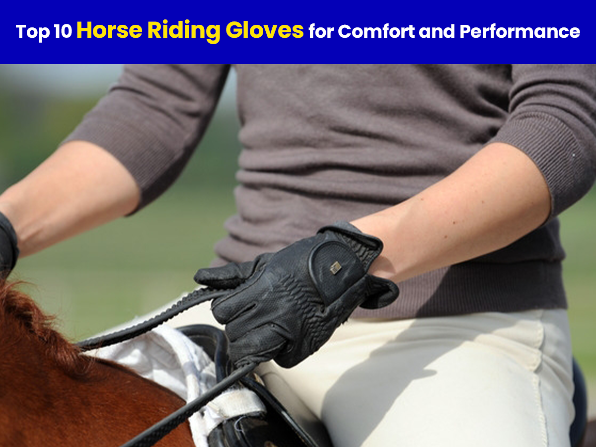 English riding gloves sales